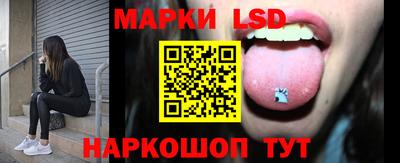 крисы Нальчик