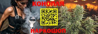 крисы Нальчик